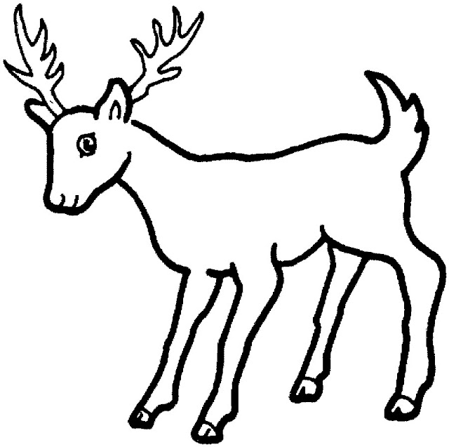 Little Deer Printable Animals Coloring Pages