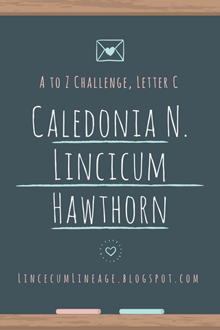 Individual Report - CNLHawthorn