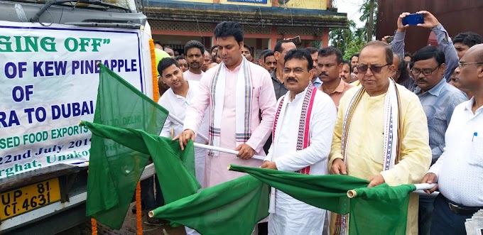  ১৭শো মেট্রিক টন কিউ প্রজাতির আনারস রওয়ানা হলো দুবাই এর উদ্দেশ্যে 