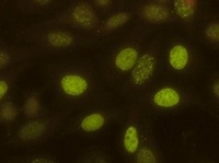 fan biomedicina3