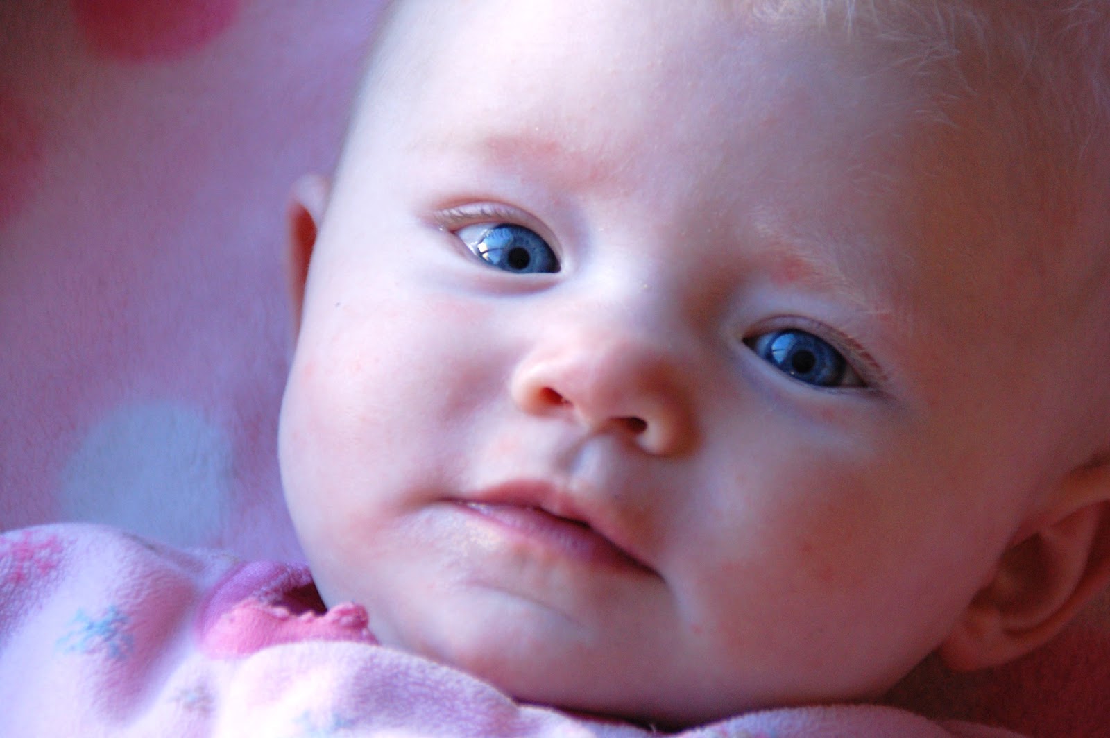 Gambar Bayi Bayi Bermata Biru Si Gambar