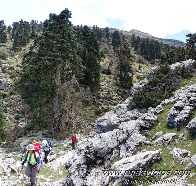 Colada del Tejo - Cerro Estepilar - Cerro del Pilar - Cerro de los Valientes - Picaho de Fatalandar