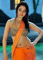 Tamanna, hot, navel, show, in, sexy, wet, saree