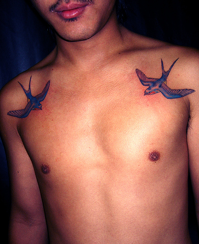 Swallow tattoos