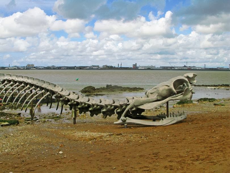 Serpent d’Océan | A Massive Metal Sea Serpent Skeleton on a Beach in France