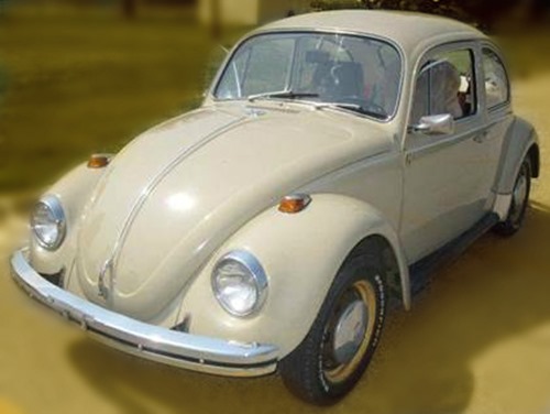 Tan bug 1