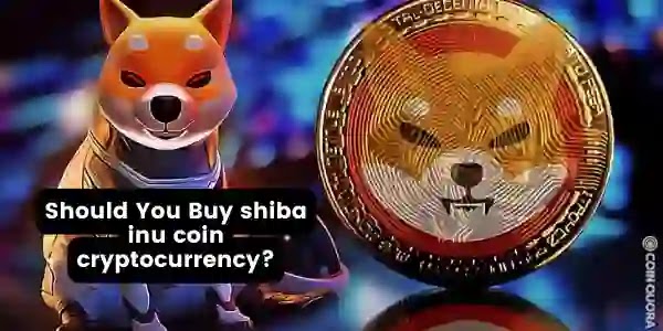 Are Shiba Inu Coins worth it?