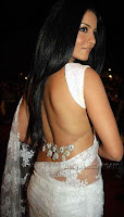  saree cleavage