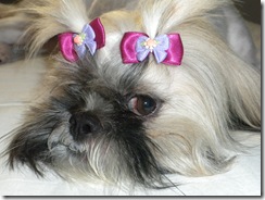 Gracie haircut 003