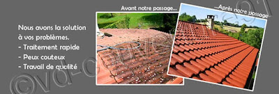 nettoyage tuiles de toiture