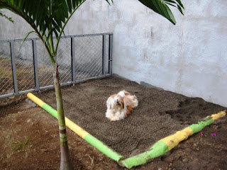 Un gran consejo del entrenamiento del perro es que sea claro para él que la caja de arena este bien, pero que en cualquier otro lugar es una zona de excavación,