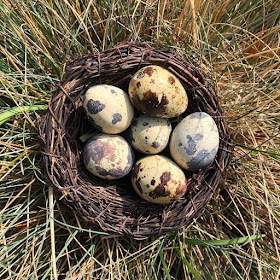 Easter nest, Chez Maximka