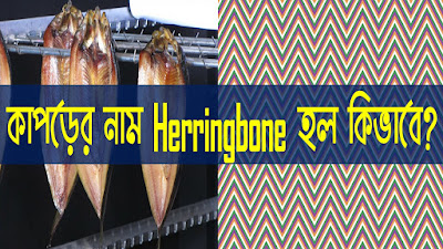 Herring, Herring Fish, Fabric, Fabric Type