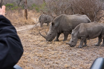 kruger south africa