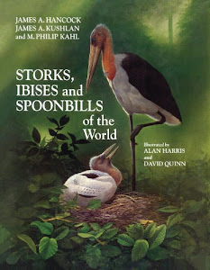 Storks, Ibises and Spoonbills of the World (Helm Identification Guides) (English Edition)