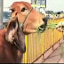 Every Indian Should Watch.