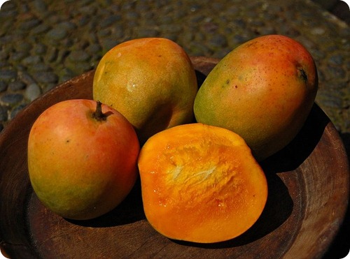 cucina senegalese -Mangga_gedong_ginc