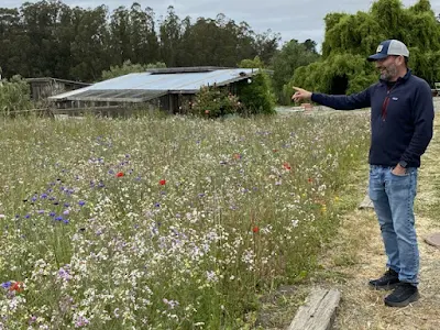 farmscape at Heidrum Meadery in Point Reyes, California