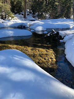 Rounded snow banks along the edges of Bear Creek. Trees cast shadows, and sunlight reveals stones beneath the very clear shallow water.