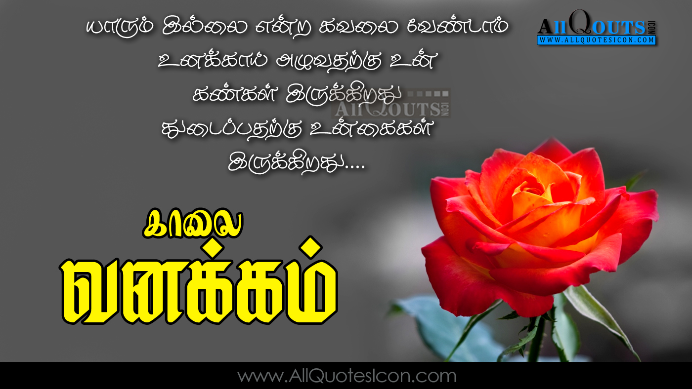 Best Tamil Good Morning Images Wishes Hd Wallpapers Www