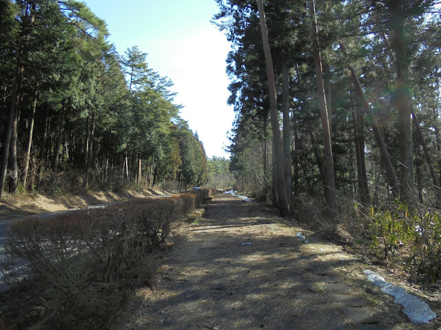 ロイヤルホテルの歩道