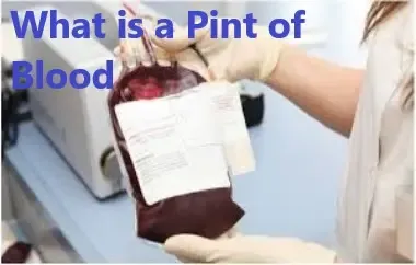 Pint Of Blood: What Does It Mean?