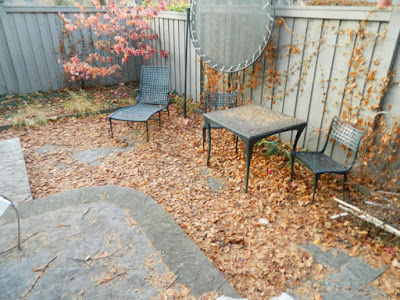 Cabbagetown Toronto Backyard Fall Cleanup Before by Paul Jung Gardening Services--a Toronto Gardening Company
