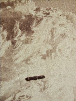 terlihat ufo ditahun 1870