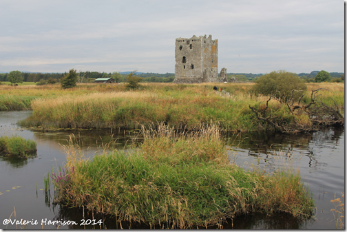 8-Threave