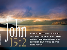 John 15 2 Christian Desktop Wallpaper