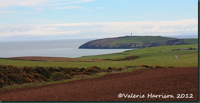 15-Mull