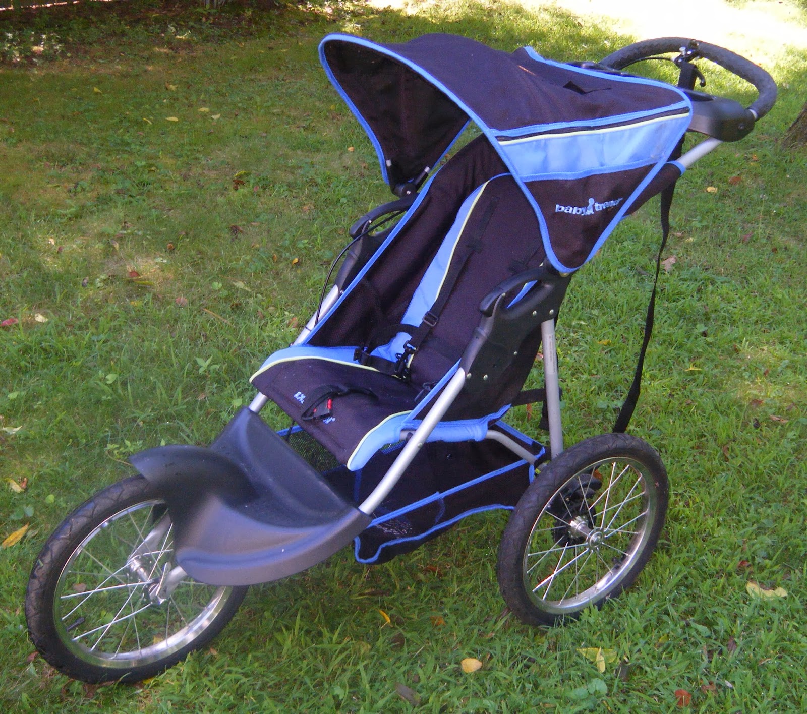 Download Money in the Garage: Instep with baby jogging strollers