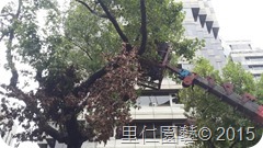 安和路段_9983