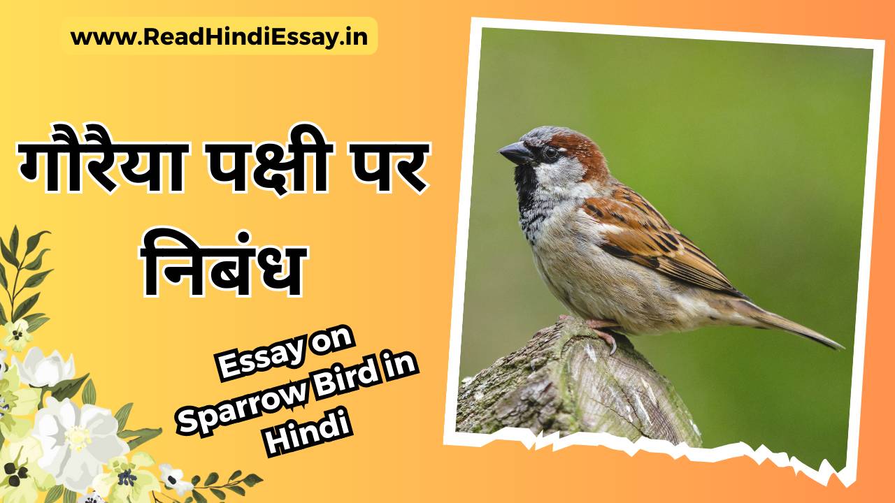 गौरैया पर निबंध - Essay on Sparrow in Hindi