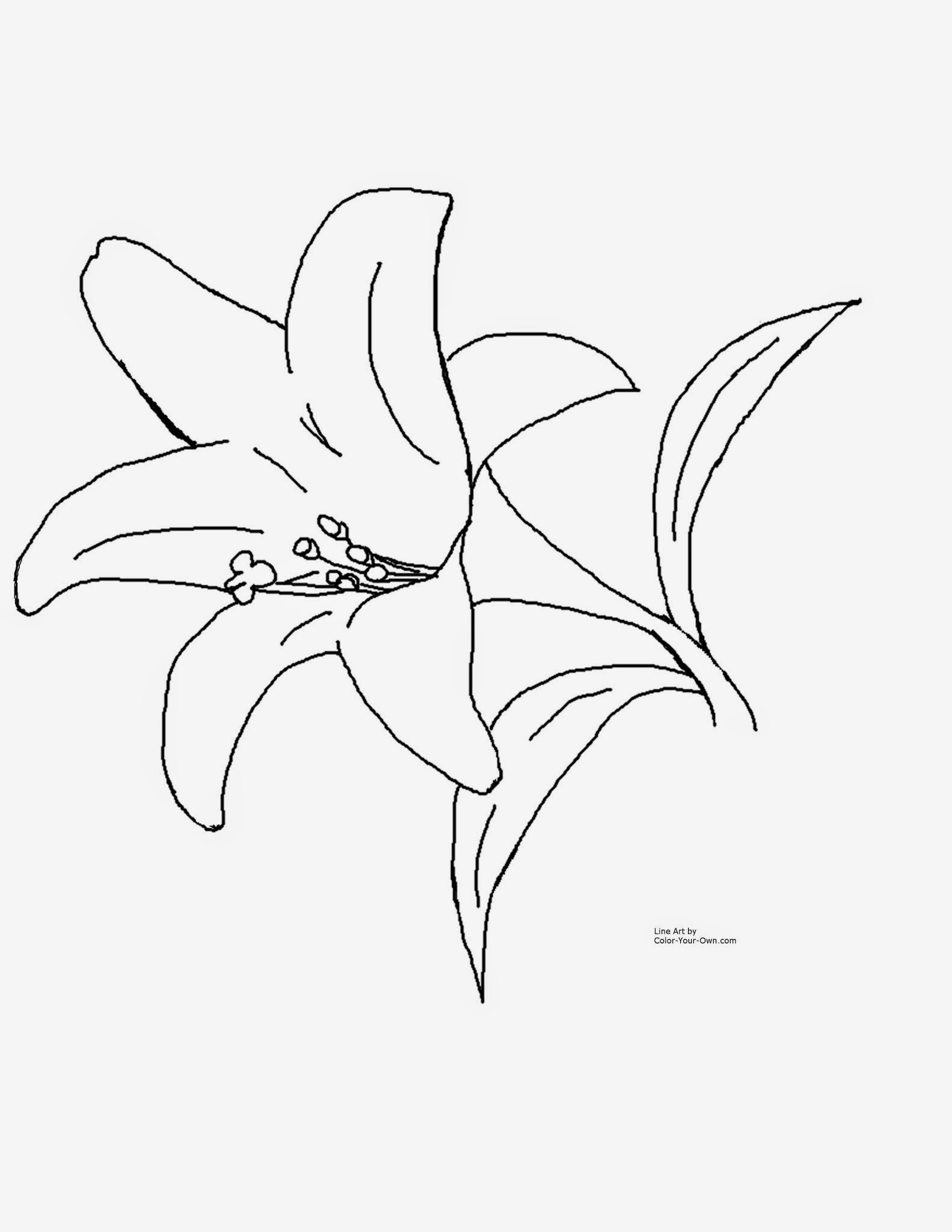 spring-flowers-coloring-pageseaster-lily-coloring-page-coloring-pages  title=