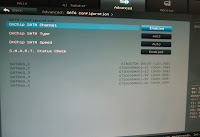 Screencap of BIOS Showing Drives