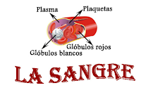 http://cplosangeles.juntaextremadura.net/web/edilim/tercer_ciclo/cmedio/las_funciones_vitales/la_funcion_de_nutricion/circulacion/la_sangre/la_sangre.html