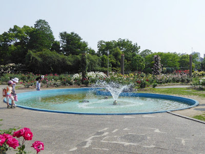 【大阪府茨木市】若園公園バラ園　噴水