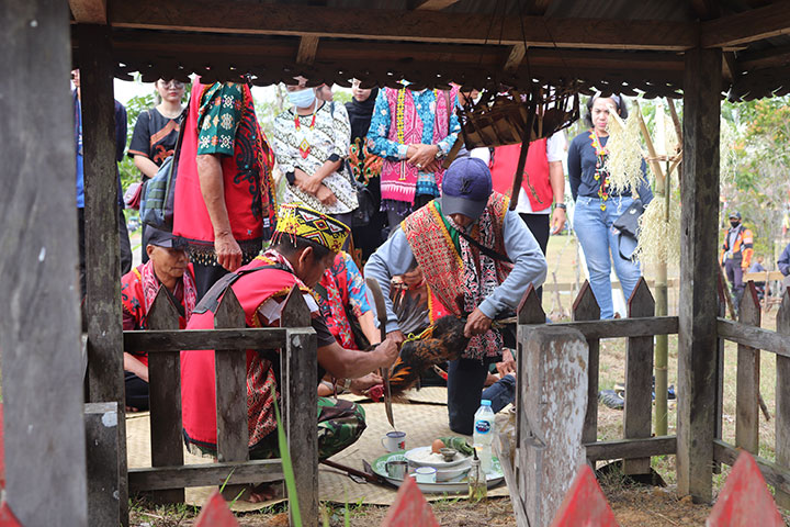 Kumpulan Foto Gawai Dayak Sanggau 2022 Tgl 6 Juli