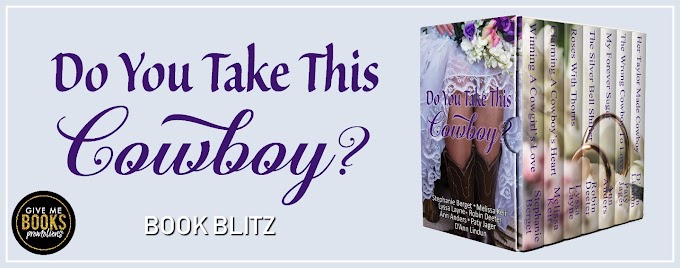 BOOK BLITZ PACKET - Do You Take This Cowboy Boxset 