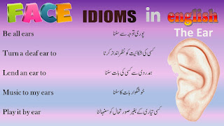 Daily Use English Idioms about Face | Face Englis Idioms | Face Idioms 1