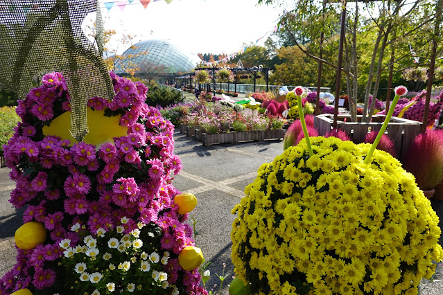 鳥取県西伯郡南部町鶴田　とっとり花回廊　エントランス展示