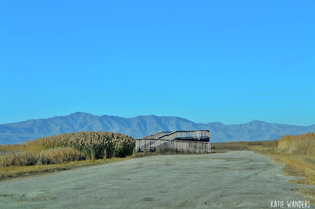 Bear River Migratory Bird Refuge 