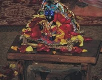 satsang polimata 11