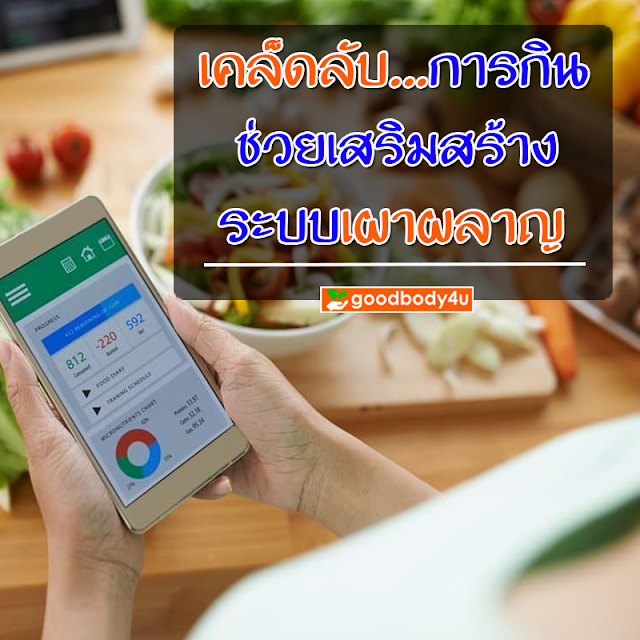 อาหารไม่ย่อย, กระเพาะอักเสบ ,ลำไส้อักเสบเรื้อรัง ,ท้องอืด, goodbody4u, นิชาภา