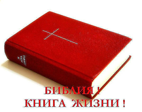 читать Библию чтение