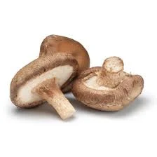 1 kg shiitake mushroom price in mumbai