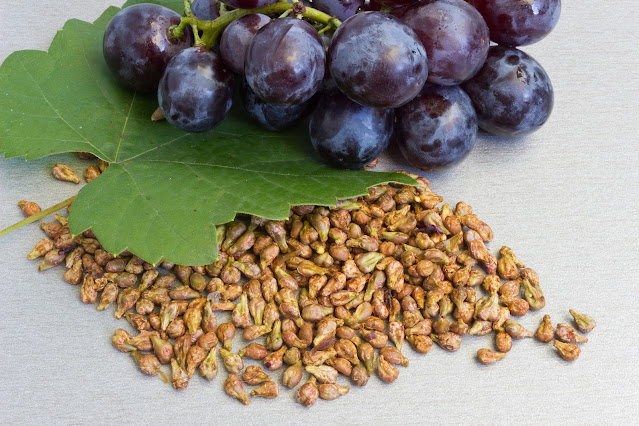 Grape Seeds