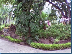 Tauseef's(047)