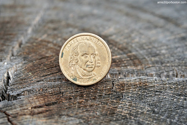 Moneda de Dólar Estadounidense de James Madison